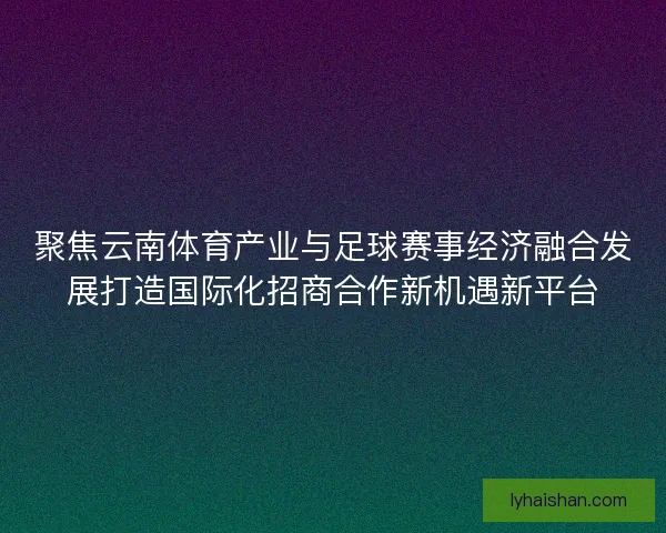 聚焦云南体育产业与足球赛事经济融合发展打造国际化招商合作新机遇新平台