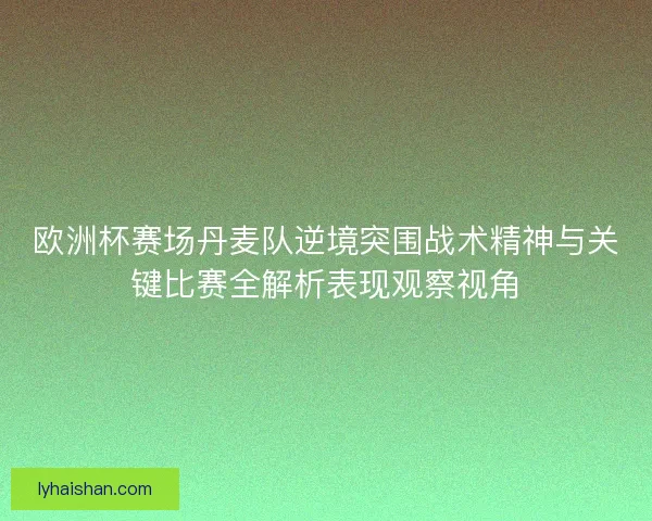 欧洲杯赛场丹麦队逆境突围战术精神与关键比赛全解析表现观察视角